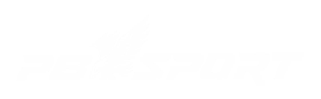 esports.smkpb.com